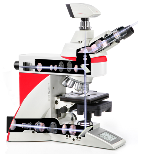 徕卡课堂 | 光学金相显微镜几种常见的观察方法